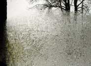 Bon Iver v našem archivu