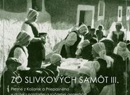 Zo slivkových samôt III.