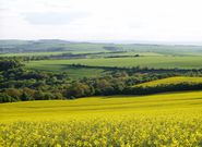 Diecéze podaly zprávu o svých majetkových nárocích vůči státu