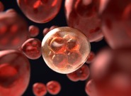 Papežská dětská nemocnice otevřela cestu novému způsobu léčby rakoviny