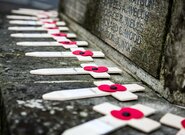 Vlčí máky i letos připomenou válečné veterány. Přispět ve sbírce Paměti národa lze i na účet