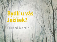 Kniha Bydlí u vás Ježíšek? navozuje nejen vánoční atmosféru